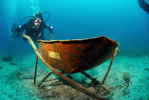 Diver at work :-) by Andy Kutsch 